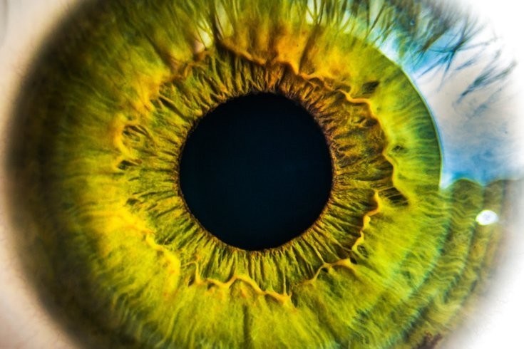 Extreme close-up of a green iris and pupil.