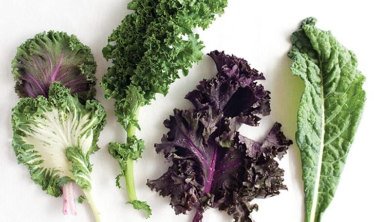 Five kale leaves of different varieties laid out on a white surface.